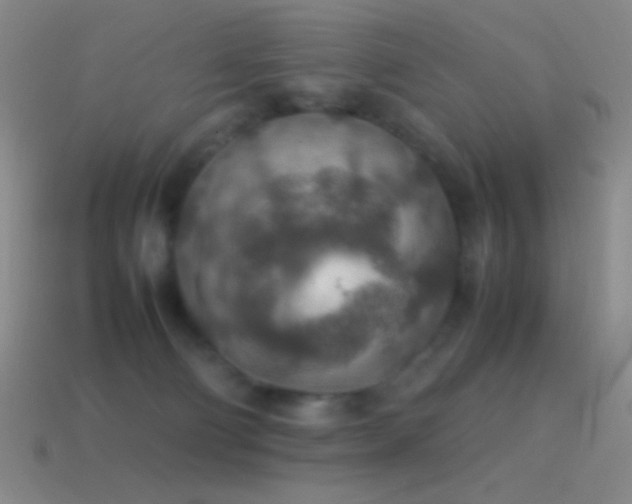 X0000115580130200911101156