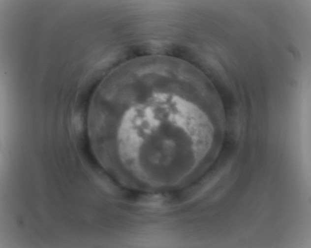 X0000115580131200911101156