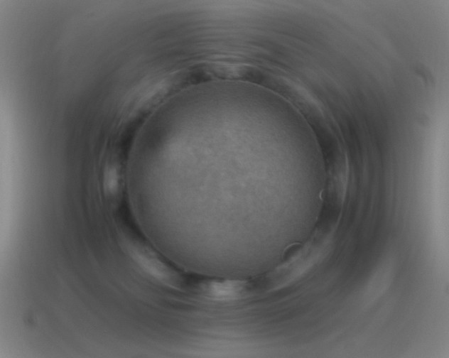 X0000115580134200911101156