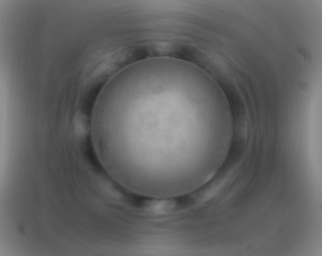 X0000115580135200911101156