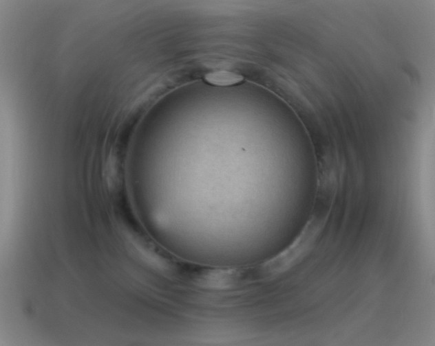 X0000115580136200911101156