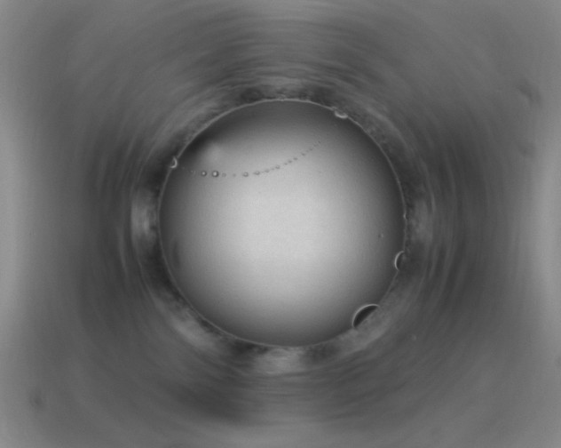 X0000115580138200911101156