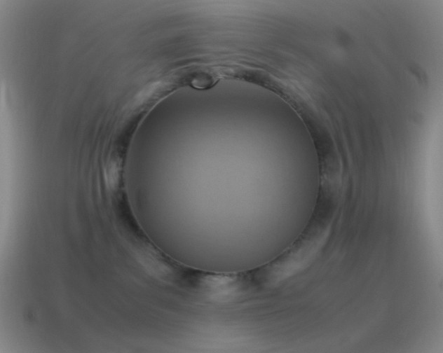 X0000115580139200911101156