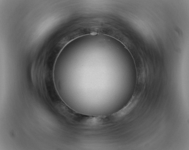 X0000115580140200911101156