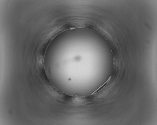 X0000115580141200911101156