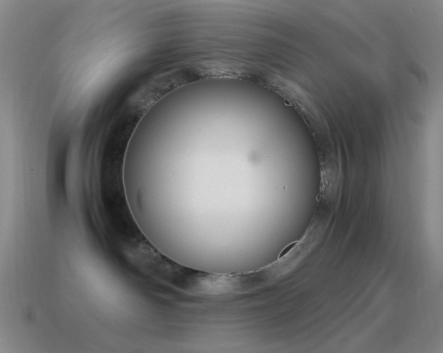 X0000115580142200911101156