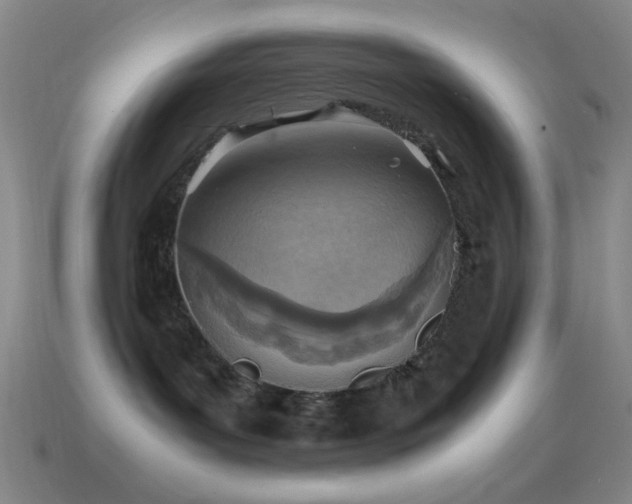 X0000115580143200911101156