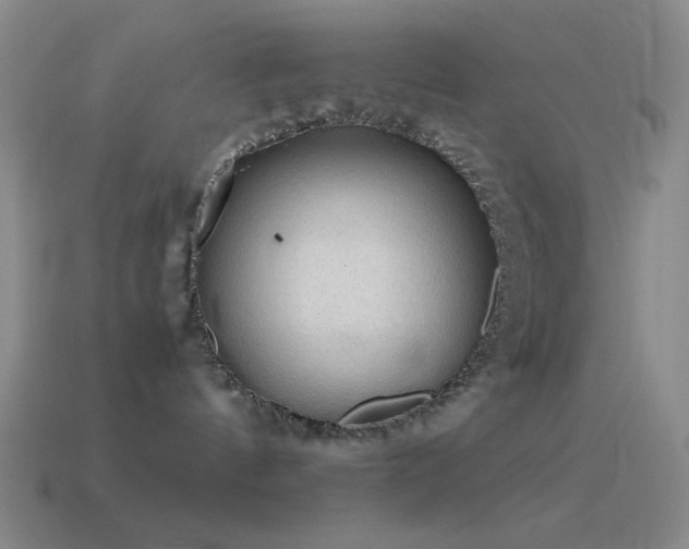 X0000115580144200911101156