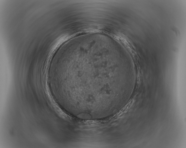 X0000115580145200911101155