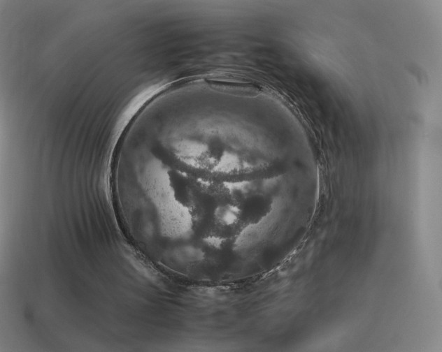 X0000115580147200911101155