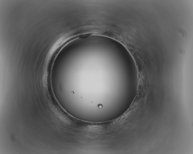 X0000115580150200911101156