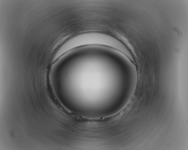 X0000115580154200911101156