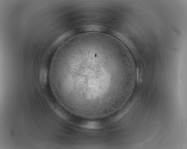 X0000115580157200911101156