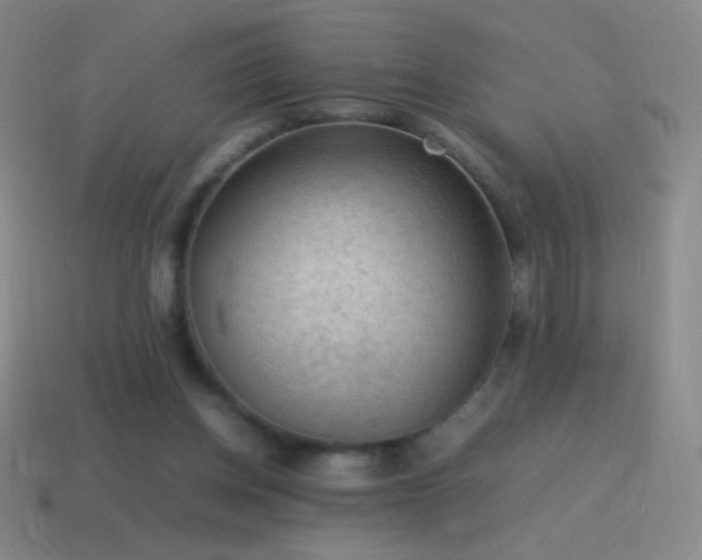 X0000115580158200911101156