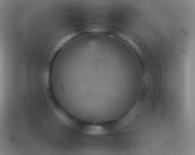 X0000115580159200911101156