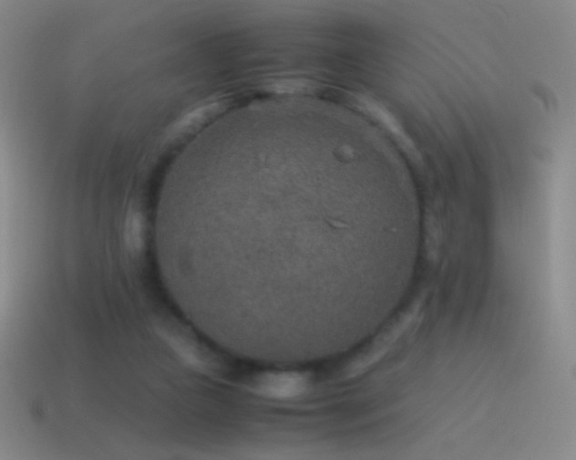 X0000115580161200911101156