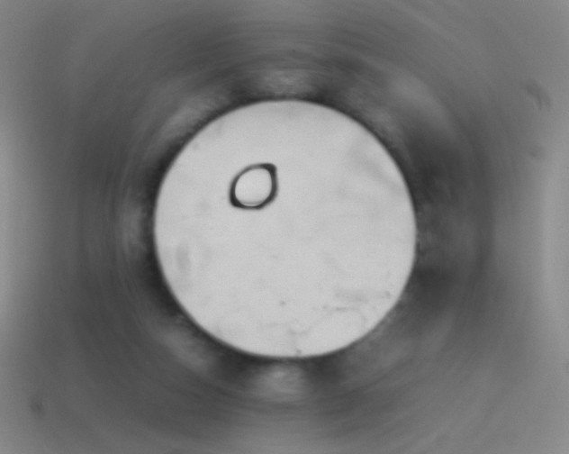 X0000115580162200911101156