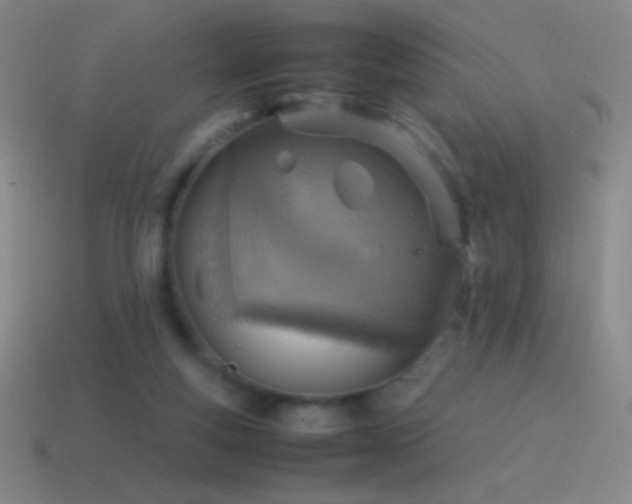 X0000115580163200911101156