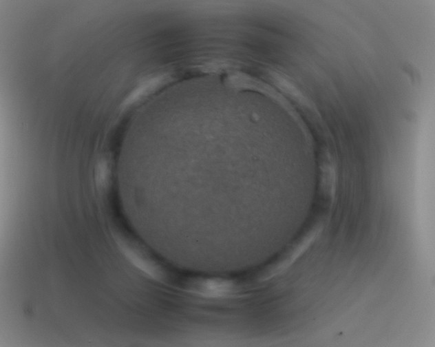 X0000115580165200911101156