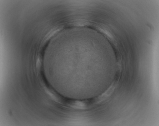 X0000115580166200911101156