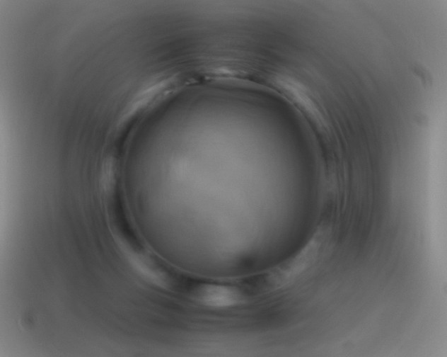 X0000115580167200911101156