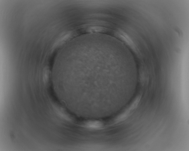 X0000115580169200911101156