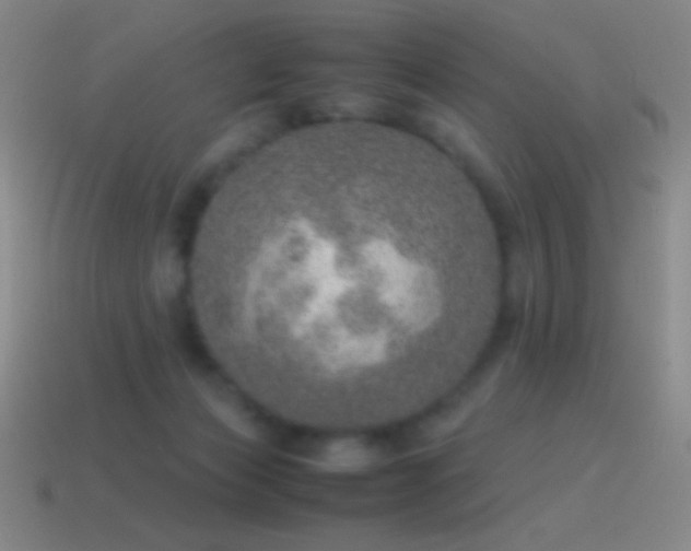 X0000115580173200911101156