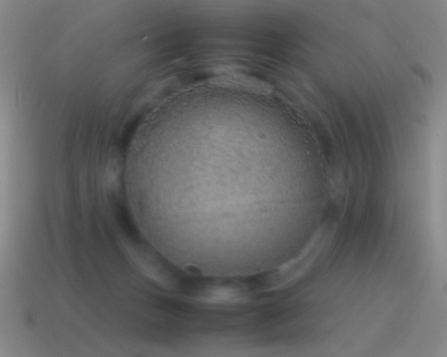 X0000115580175200911101156