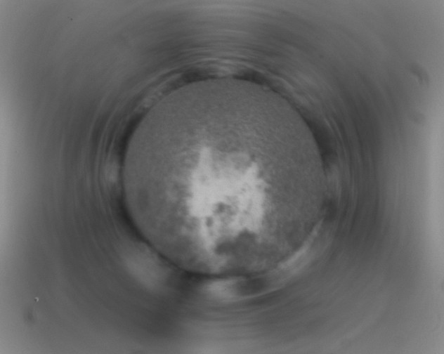 X0000115580178200911101156