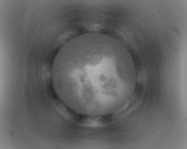 X0000115580179200911101156