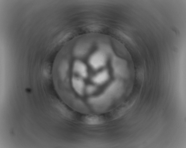 X0000115580181200911101156