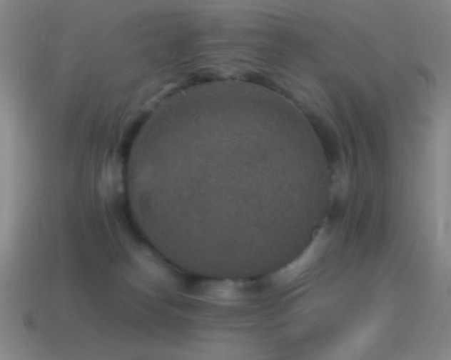 X0000115580182200911101156