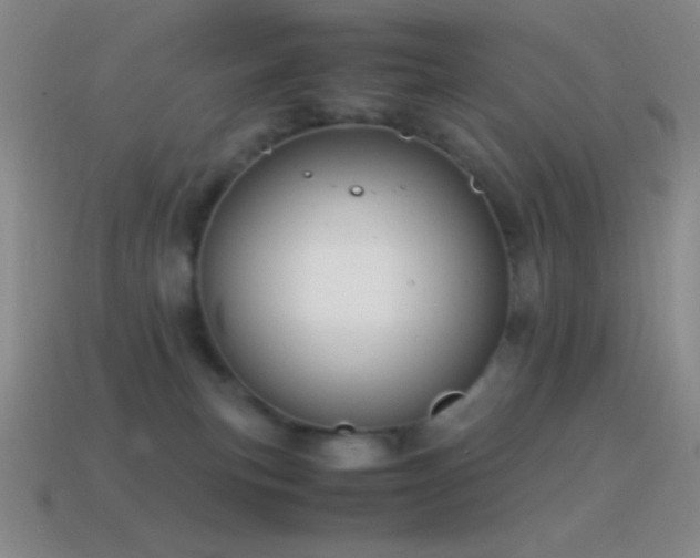 X0000115580183200911101156