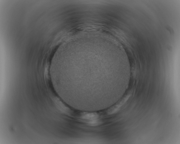 X0000115580185200911101156