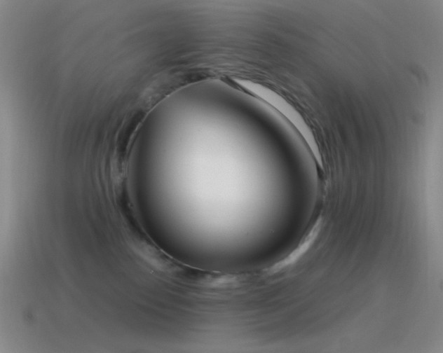 X0000115580186200911101156