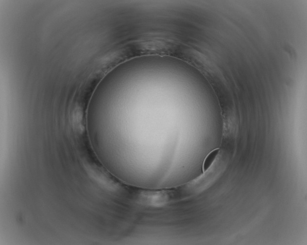 X0000115580187200911101156