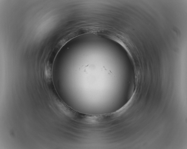 X0000115580190200911101156