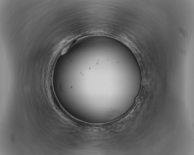 X0000115580193200911101155