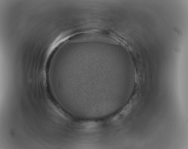 X0000115580198200911101155