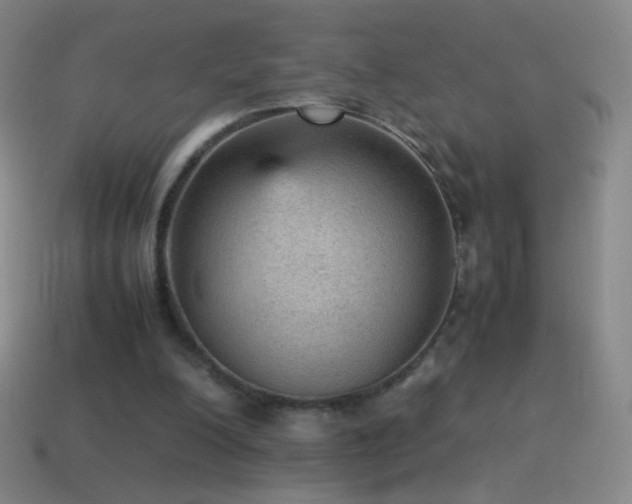 X0000115580200200911101155