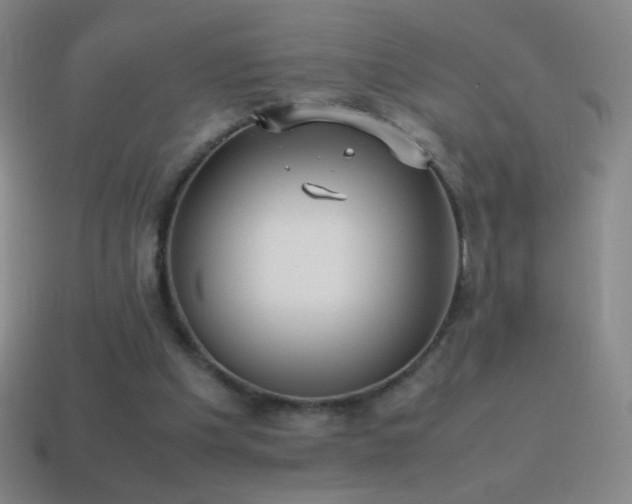 X0000115580201200911101155