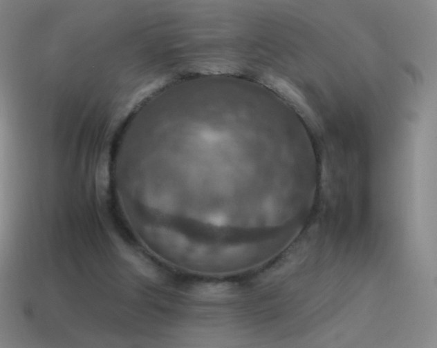 X0000115580202200911101155