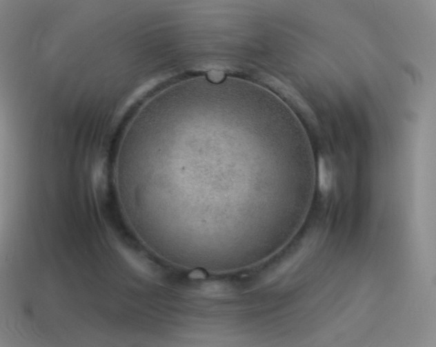 X0000115580204200911101155