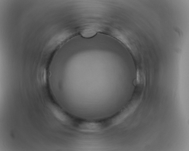 X0000115580205200911101155