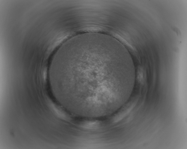 X0000115580206200911101155