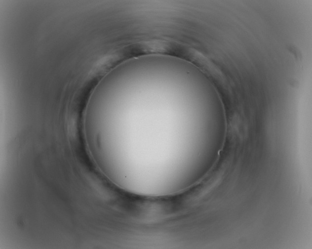 X0000115580209200911101155