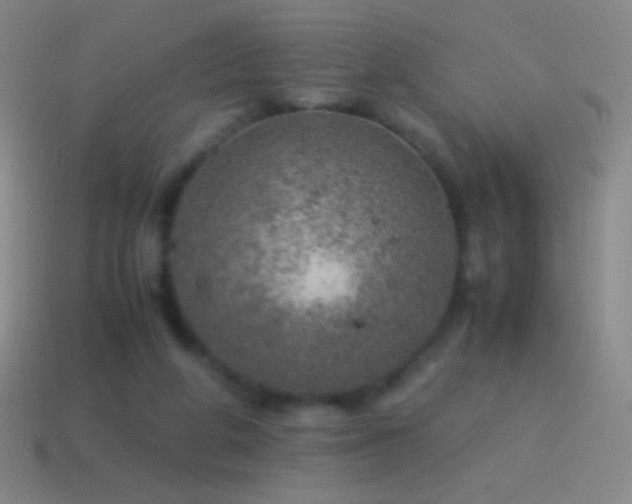 X0000115580210200911101155