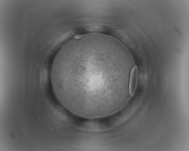 X0000115580211200911101155