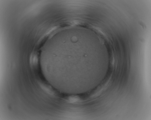 X0000115580214200911101155