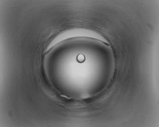 X0000115580215200911101155